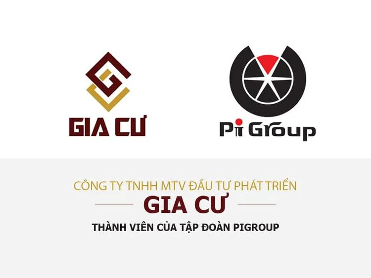 Tổng quan về Pi Group (Picity Group)
